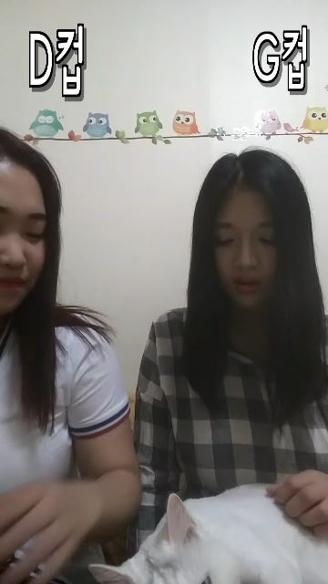 DG삐용이